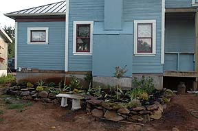 all planted and even a sprinker
                system installed